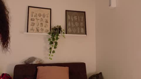  Memphis Williams  online show from 02.19.26