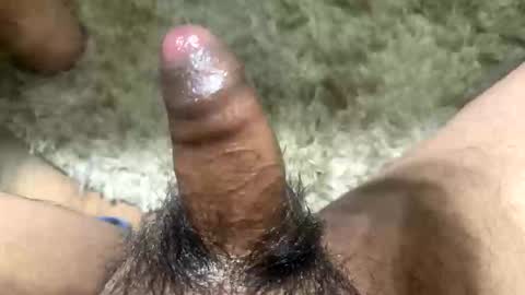 Snapshot of mendezjesus1215 chatting on 11.13.25 Toro loco online show from 11.13.25