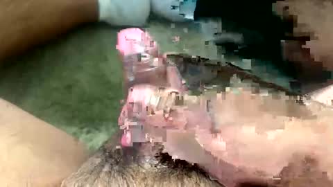 Toro loco online show from 03.26.26