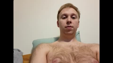 meow732 online show from 11.02.25