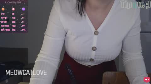 meowcatlove online show from 01.08.25