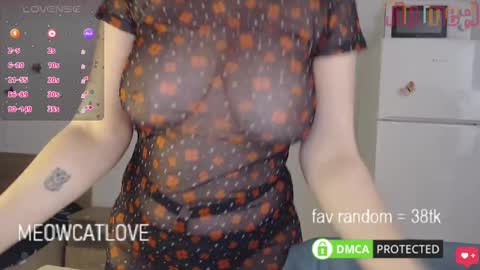 meowcatlove online show from 01.27.25