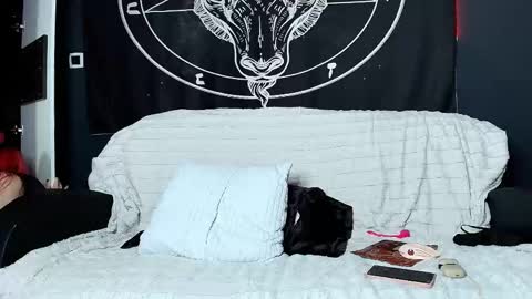 Snapshot of meowroslava chatting on 11.17.25 meowroslava online show from 11.17.25