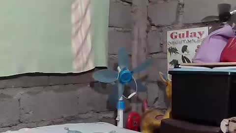 Snapshot of merietiny chatting on 01.22.25 merietiny online show from 01.22.25