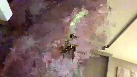 mi45419 online show from 02.22.26