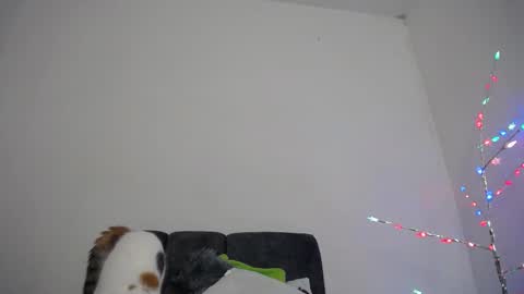 M I A online show from 12.18.25