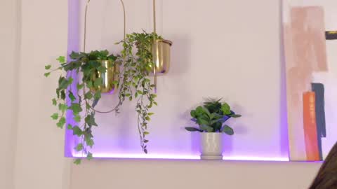 mia_oconner online show from 12.31.24