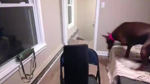 miamak online show from 12.20.25