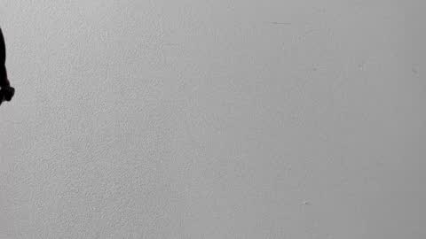 Snapshot of miavelvet_dl chatting on 10.12.25 mia online show from 10.12.25