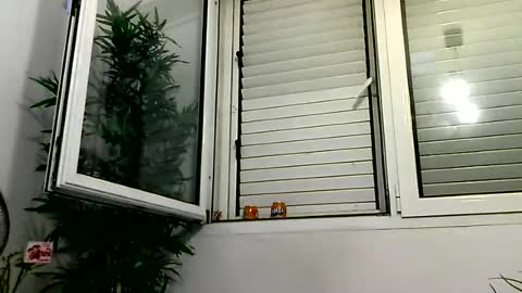 MILO MIAMI online show from 06.28.26