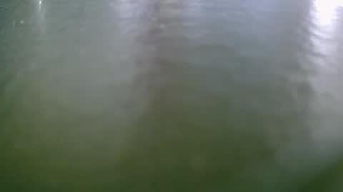 michelclaude online show from 10.15.25