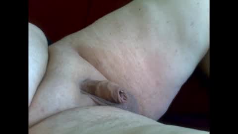 micropimmel online show from 01.11.26