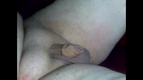 micropimmel online show from 02.18.26