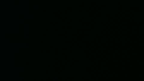 micwalrus online show from 03.05.26