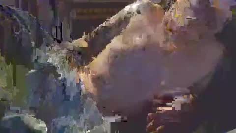 Snapshot of middle123456783939 chatting on 09.11.25 middle123456783939 online show from 09.11.25