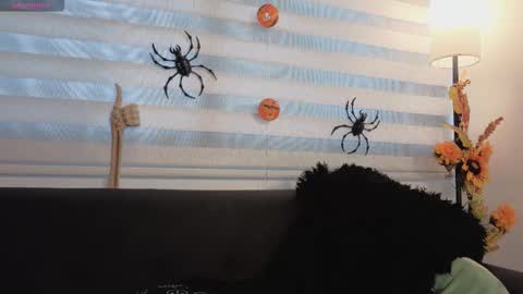 midori__san online show from 11.04.25