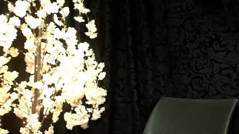 Mika online show from 12.16.24