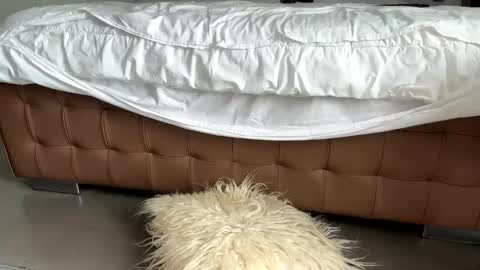 Snapshot of mikel030 chatting on 03.02.26 djfuckoff online show from 03.02.26