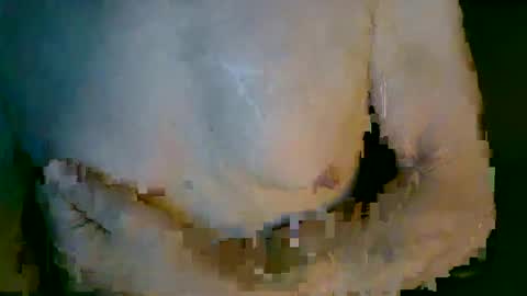 Snapshot of mikenyc55 chatting on 10.04.25 mikenyc55 online show from 10.04.25