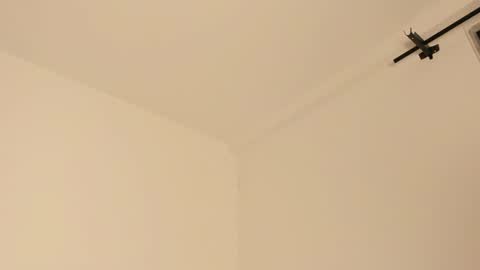     online show from 02.14.25