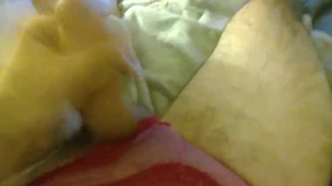 Snapshot of milkncookies8 chatting on 10.03.25 milkncookies8 online show from 10.03.25