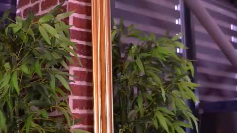 Milla online show from 01.10.26