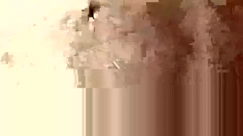 minniehunney online show from 04.23.26