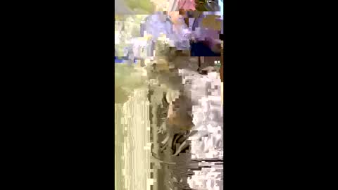 Snapshot of misnicol chatting on 01.05.26 Nicol online show from 01.05.26