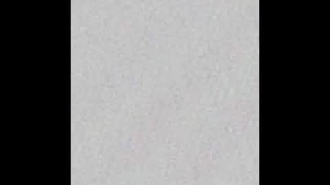 Misa online show from 02.08.26