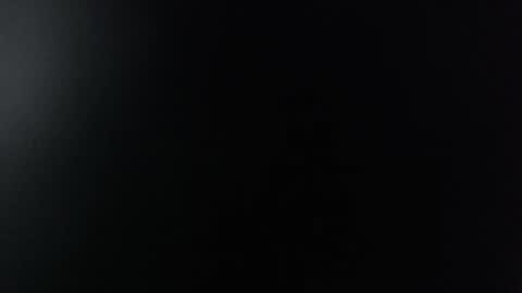 Snapshot of miss_lina_dream chatting on 12.13.24 Miss Lina online show from 12.13.24