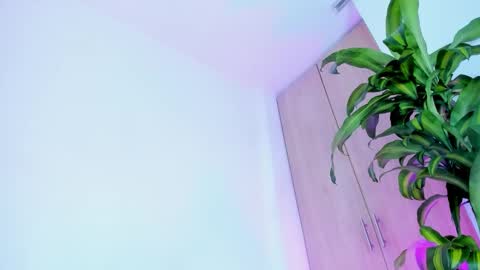 Snapshot of missangeldust chatting on 12.02.25 missangeldust online show from 12.02.25