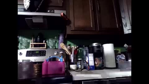 MissEeva online show from 12.14.24