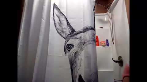 MissEeva online show from 12.28.24