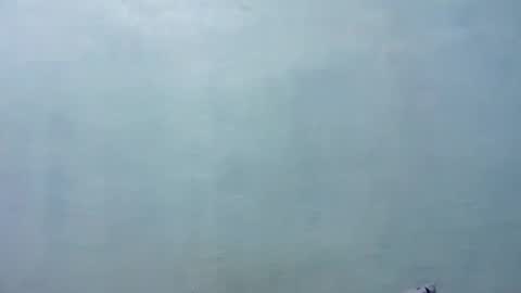 Merry online show from 11.08.25