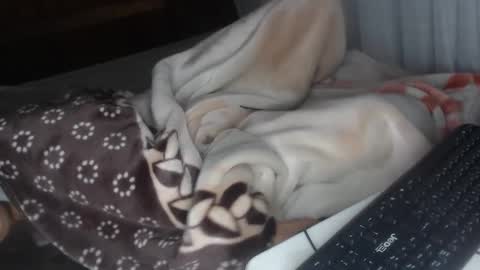 Snapshot of misspink152015 chatting on 12.28.24 sarah online show from 12.28.24