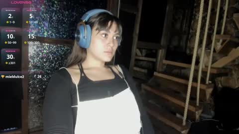 Snapshot of misspink152015 chatting on 03.04.25 sarah online show from 03.04.25