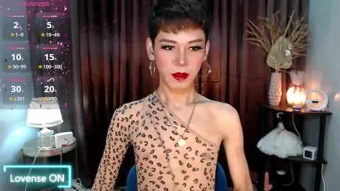 Stella online show from 09.11.25