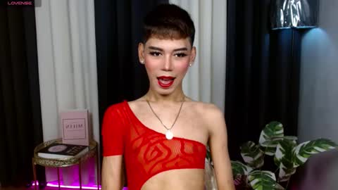 Stella online show from 09.17.25