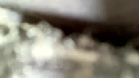 mistajay90 online show from 09.08.25