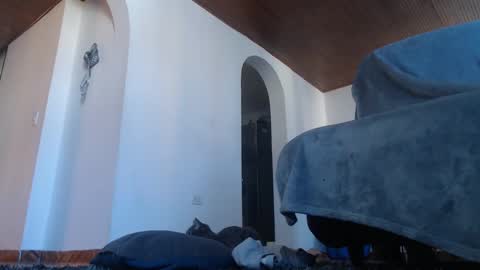 Snapshot of mistersam33 chatting on 02.10.25 mistersam33 online show from 02.10.25