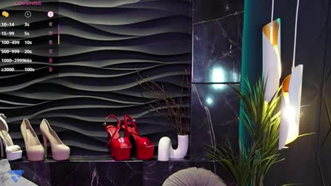 Snapshot of mistress_darsy chatting on 01.25.25 Darsy online show from 01.25.25