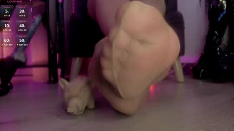 Jhadee online show from 01.13.25