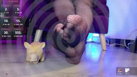 Jhadee online show from 12.23.25