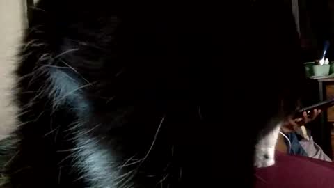 Mistress Mystii online show from 03.01.26