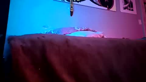 Snapshot of mjmckenz55 chatting on 03.22.26 Daddy720 online show from 03.22.26