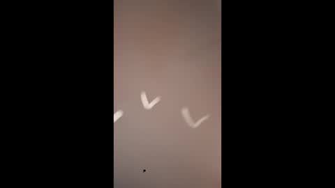 Snapshot of mjokanovich5229 chatting on 03.10.26 Mike4using online show from 03.10.26