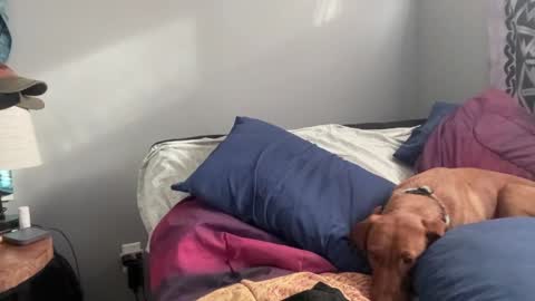 MNTuiLa online show from 02.02.25