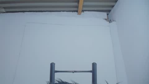 Catalina online show from 12.04.24