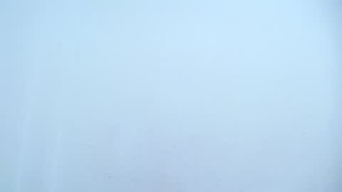 Catalina online show from 03.08.25