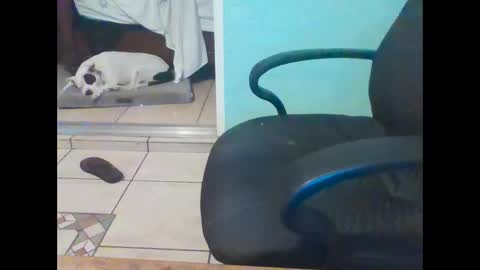 Snapshot of mobiledui chatting on 02.16.25 mobiledui online show from 02.16.25